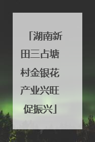 湖南新田三占塘村金银花产业兴旺促振兴